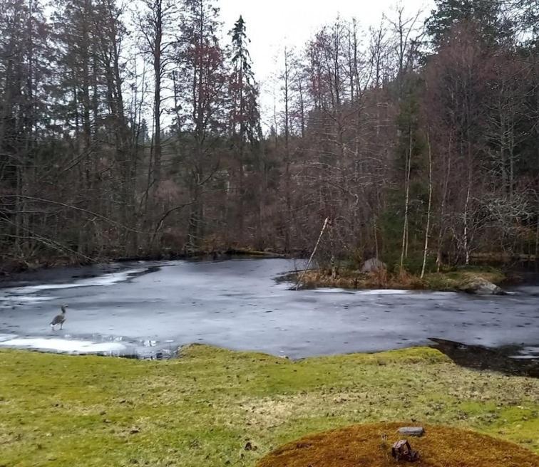 Gaeststuga I Vacker Natur, Bastu, Bubbelpool Sommartid Och Gratis Parkering Naera Ulricehamn Och Lassalyckan, Guesthouse With Nice View With Sauna And Free Parking Close To Dalsjoefors And Fishing Boras Bagian luar foto